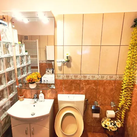 Ultracentral Cathedral * 티미쇼아라