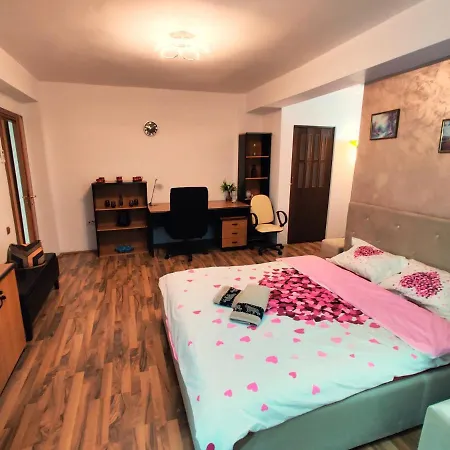 Ultracentral Cathedral 아파트 티미쇼아라